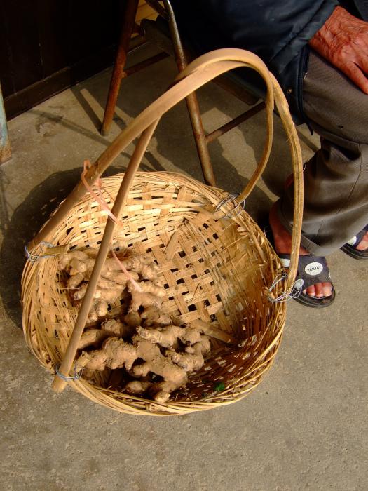 甘照山竹編標題圖片