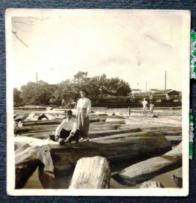 民國50年代竹東林場標題圖片