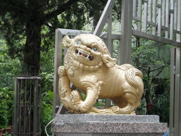陳木火打石標題圖片