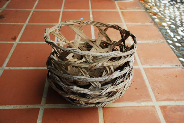 秧篦仔標題圖片