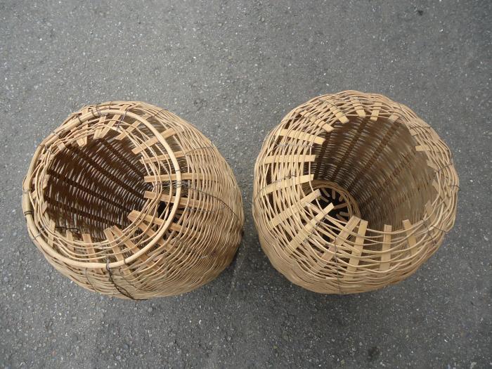 馮仔晁竹編標題圖片