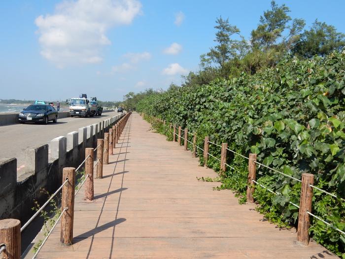 新屋沿海防風林標題圖片