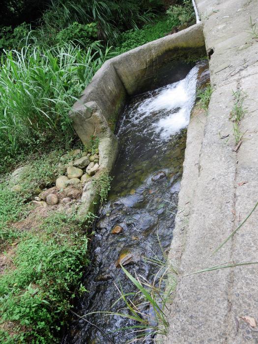 茅子埔穿龍水圳標題圖片
