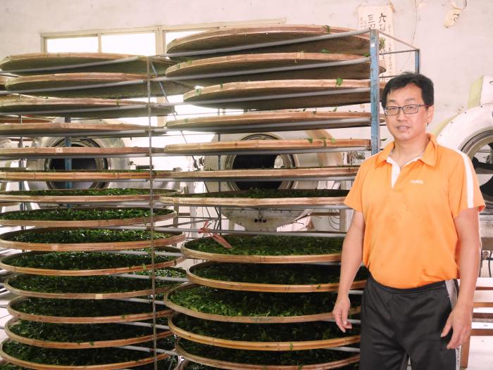 溫吉誠綠茶溫家堡標題圖片