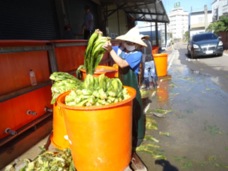 吳秀乾醃漬鹹菜標題圖片
