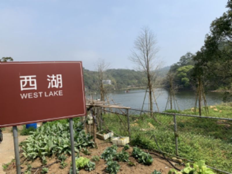 德興池標題圖片