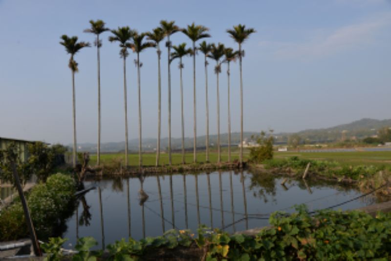 苗栗銅鑼惇敘堂丘龍章學塾遺址標題圖片