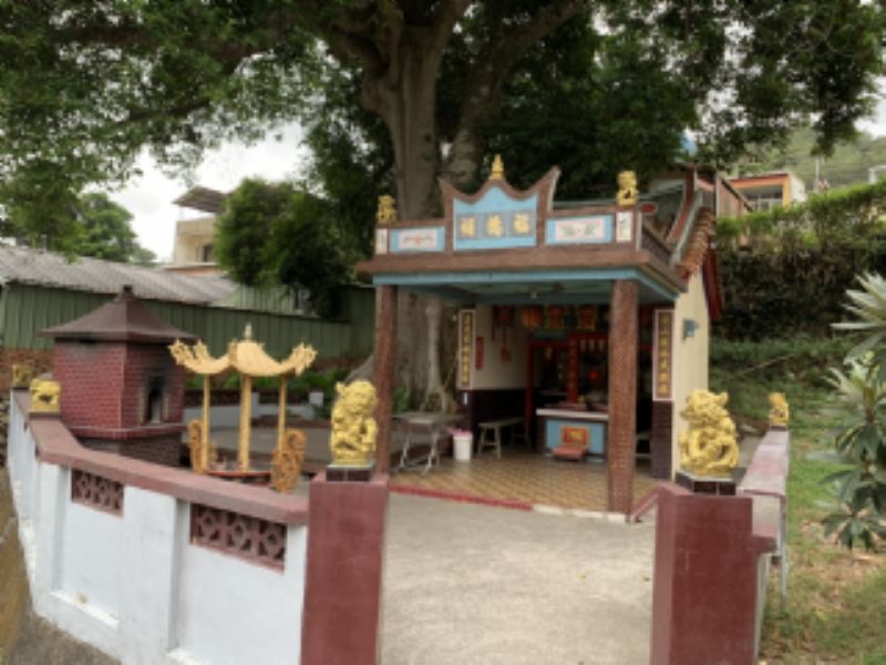 雙潭村九丁榕標題圖片