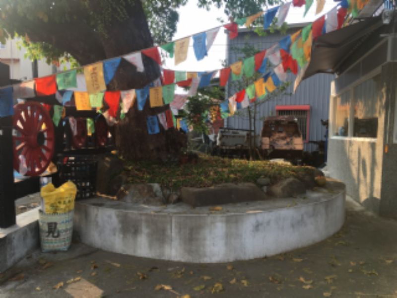 月眉庄老茄苳樹標題圖片