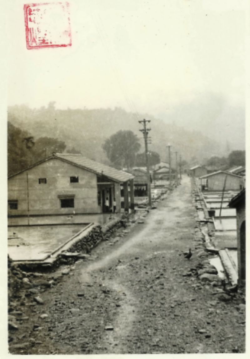 民國56年雨後小林留影標題圖片