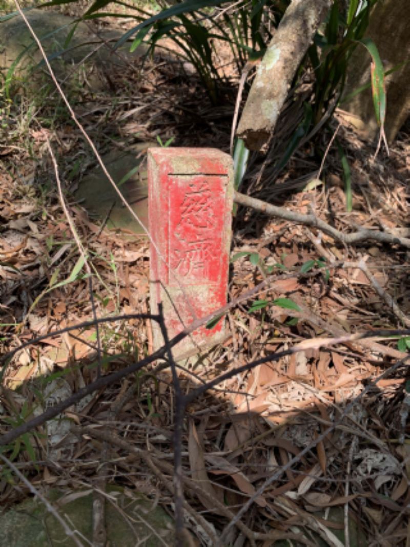 慈濟山挑茶古道標題圖片