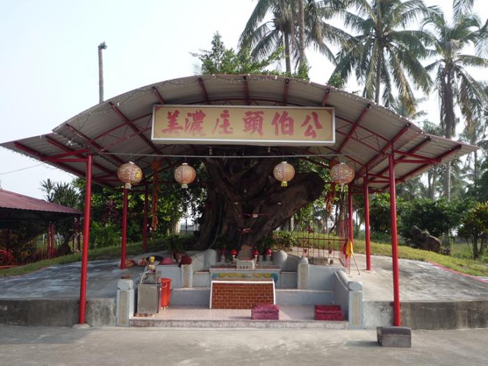 美濃庄頭伯公標題圖片