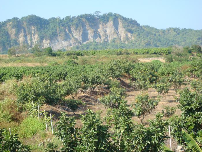 大陳虎盤新村標題圖片