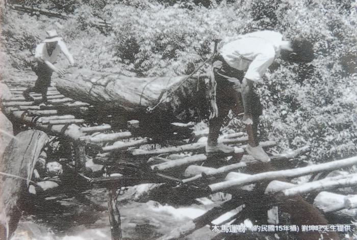 日昭和元年八仙山林場木馬運材作業留影相標題圖片