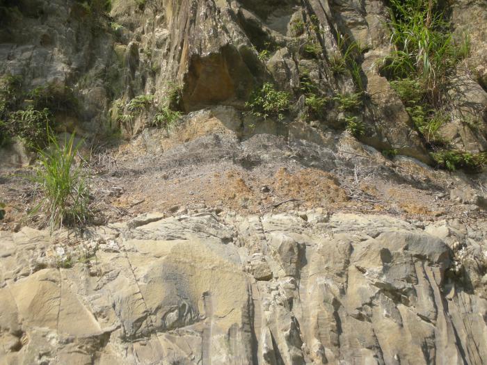 南庄含煤層標題圖片