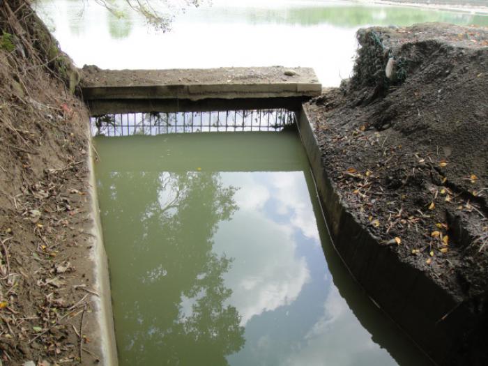 牛欄肚圳標題圖片