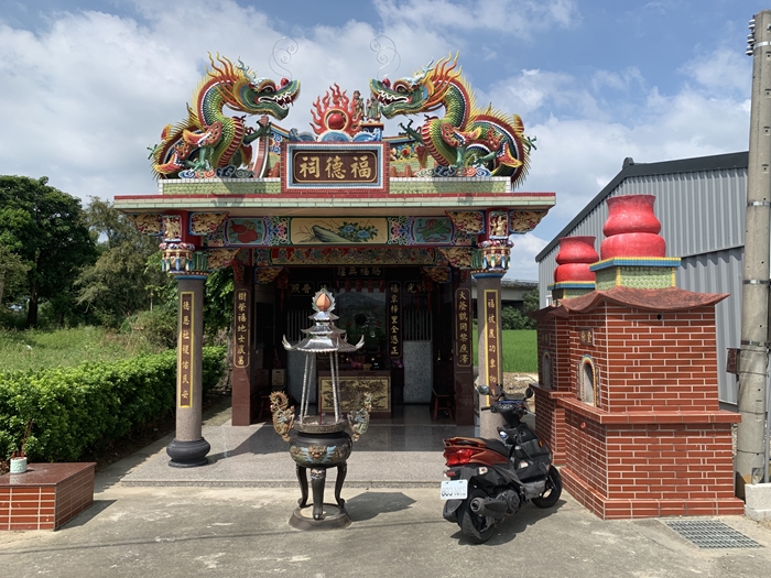 大樹下伯公標題圖片