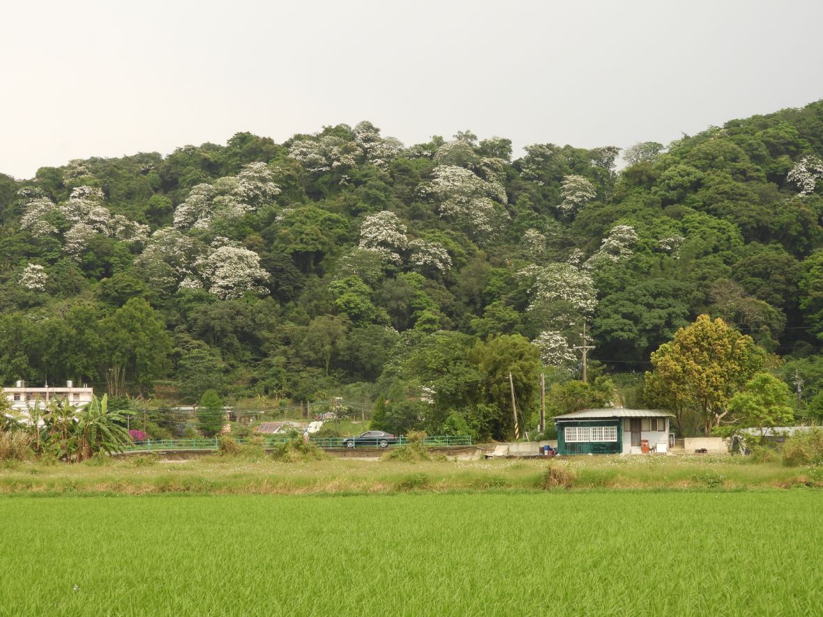 康莊休閒農業區