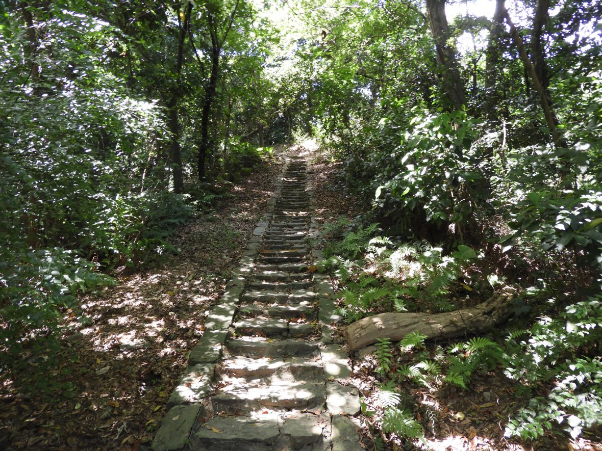 以石板鋪設的齋明寺古道