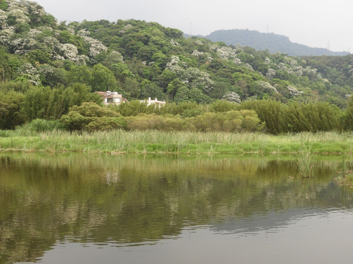 內柵埔尾515巷聚落