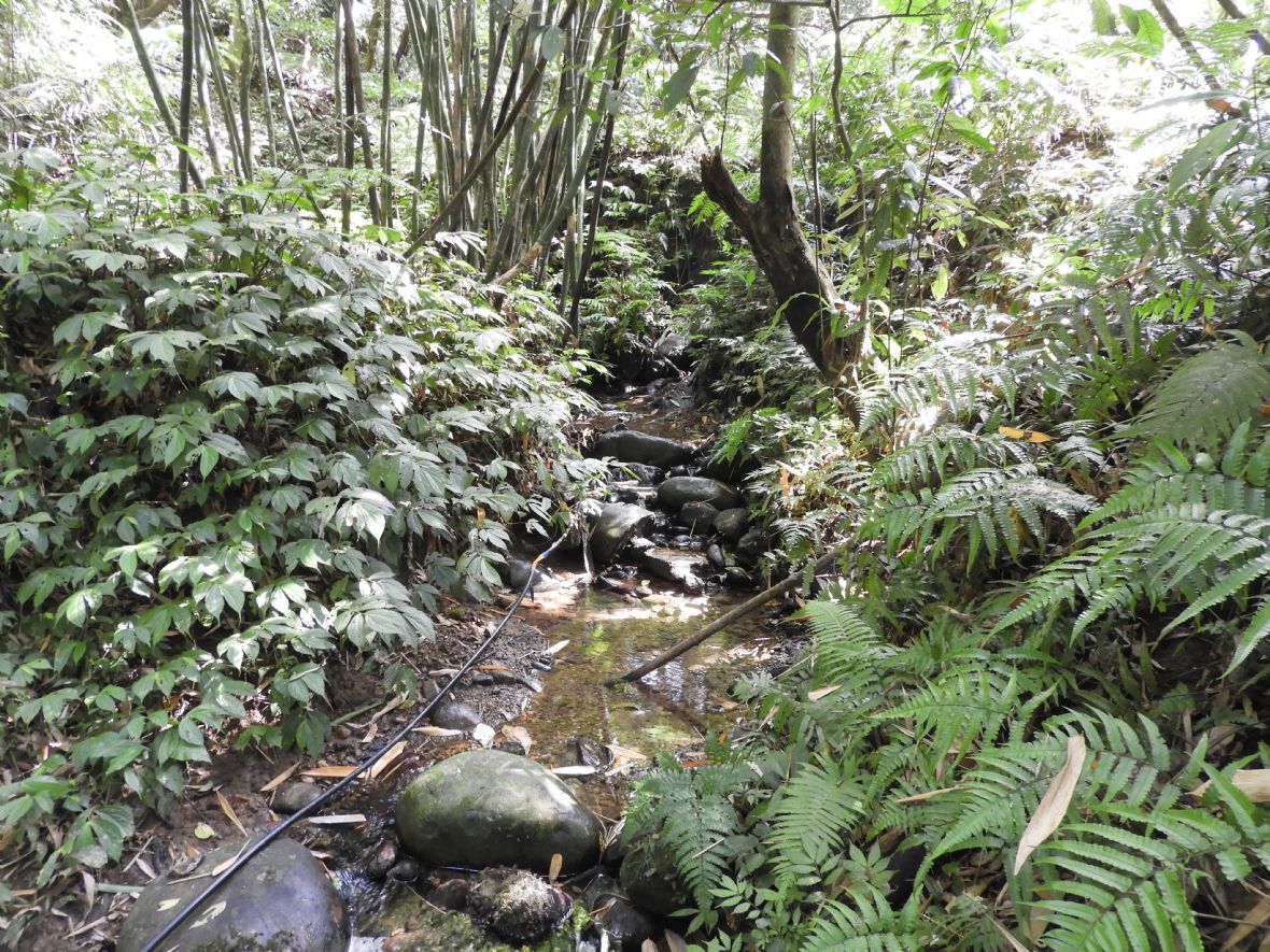 湳仔溝聚落的水源