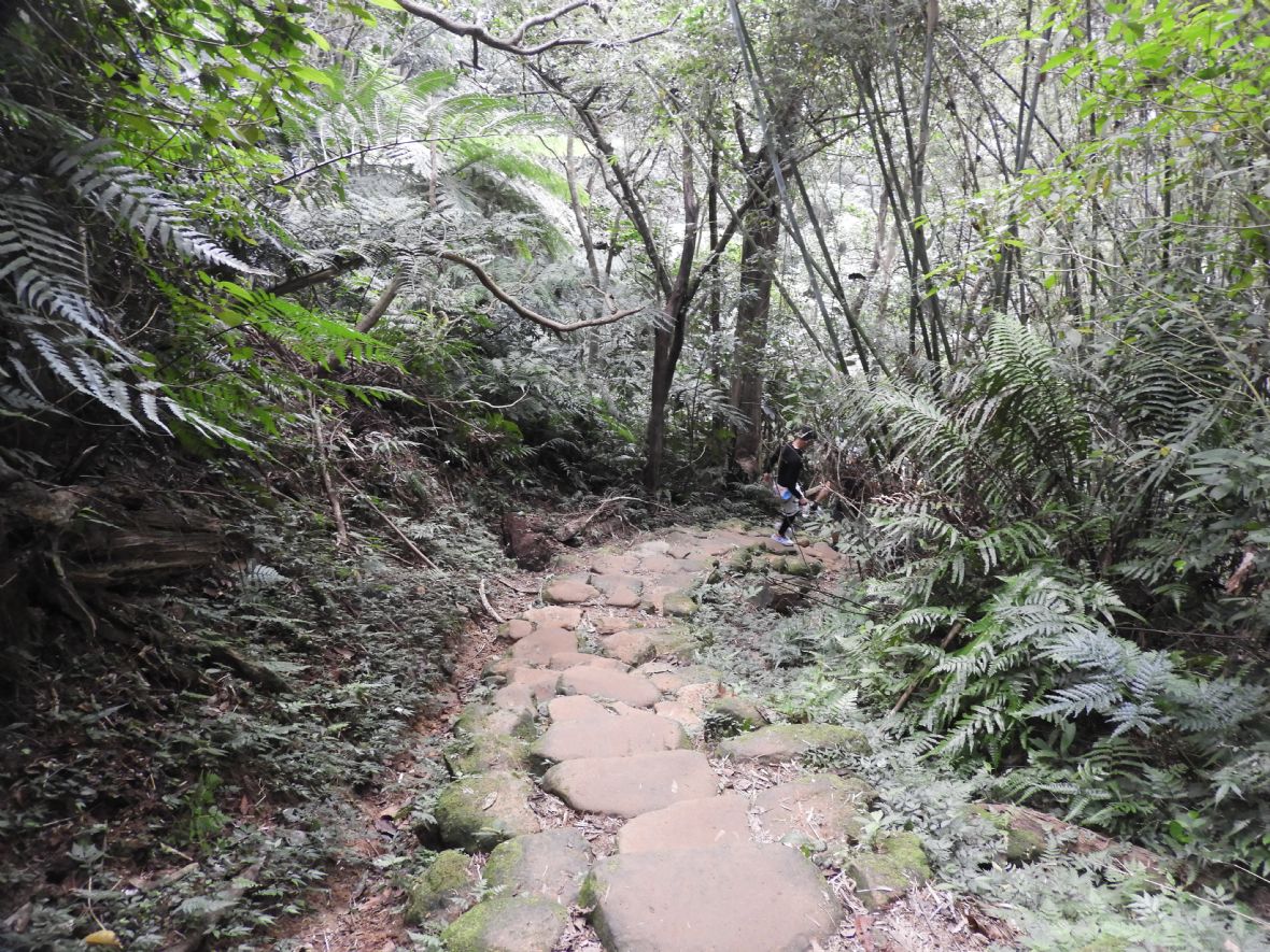 坡度甚陡撞的砂岩石階路