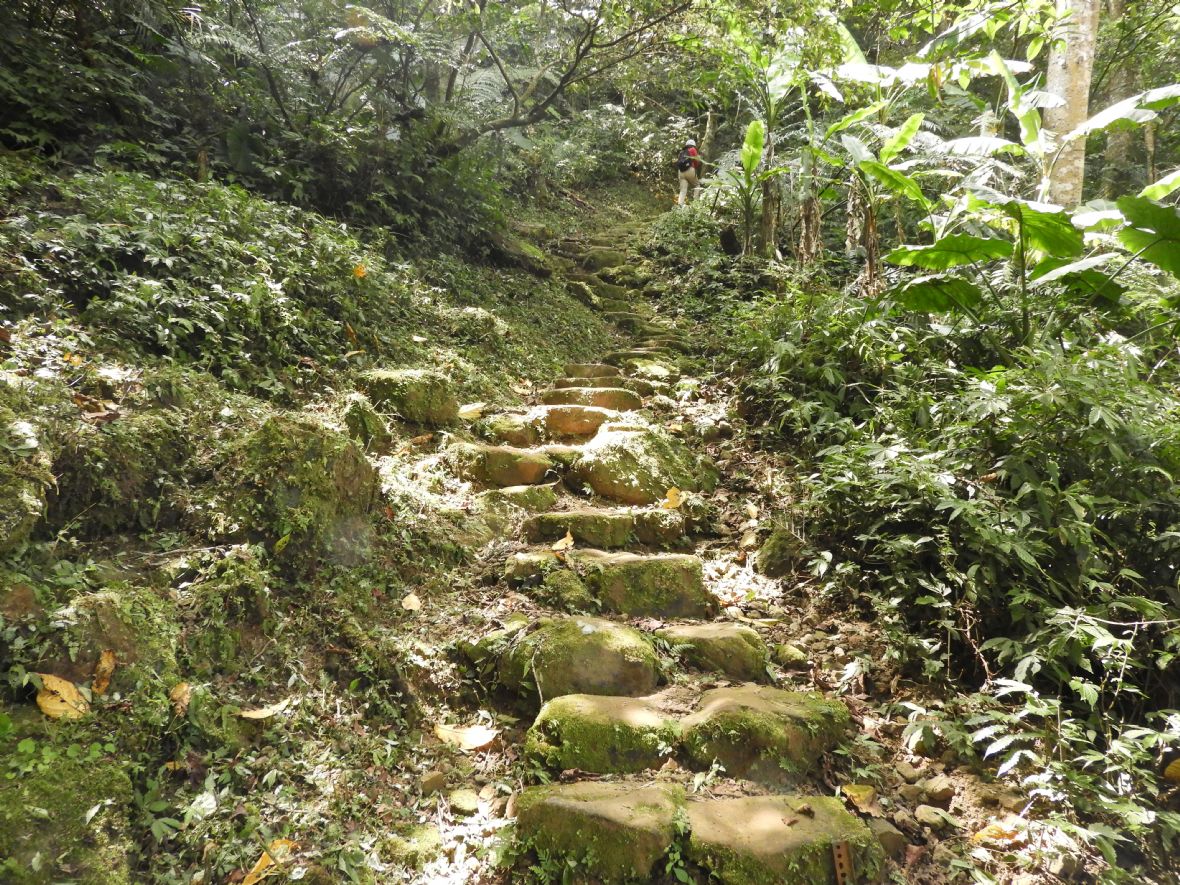 大艽芎古道北段的石階路