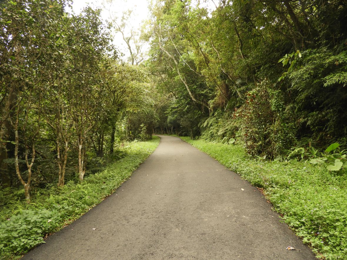石龜坑古道現為百吉林蔭步道