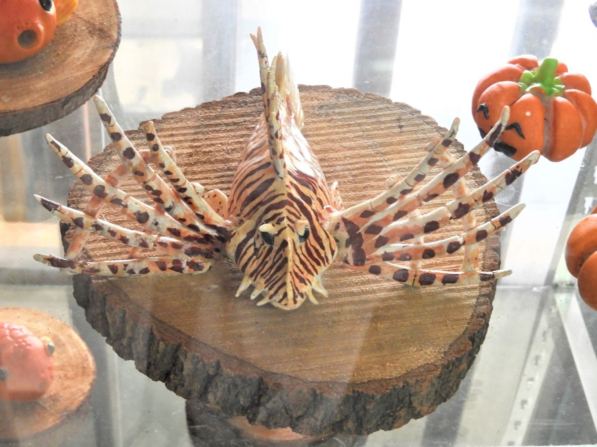 栩栩如生的獅子魚