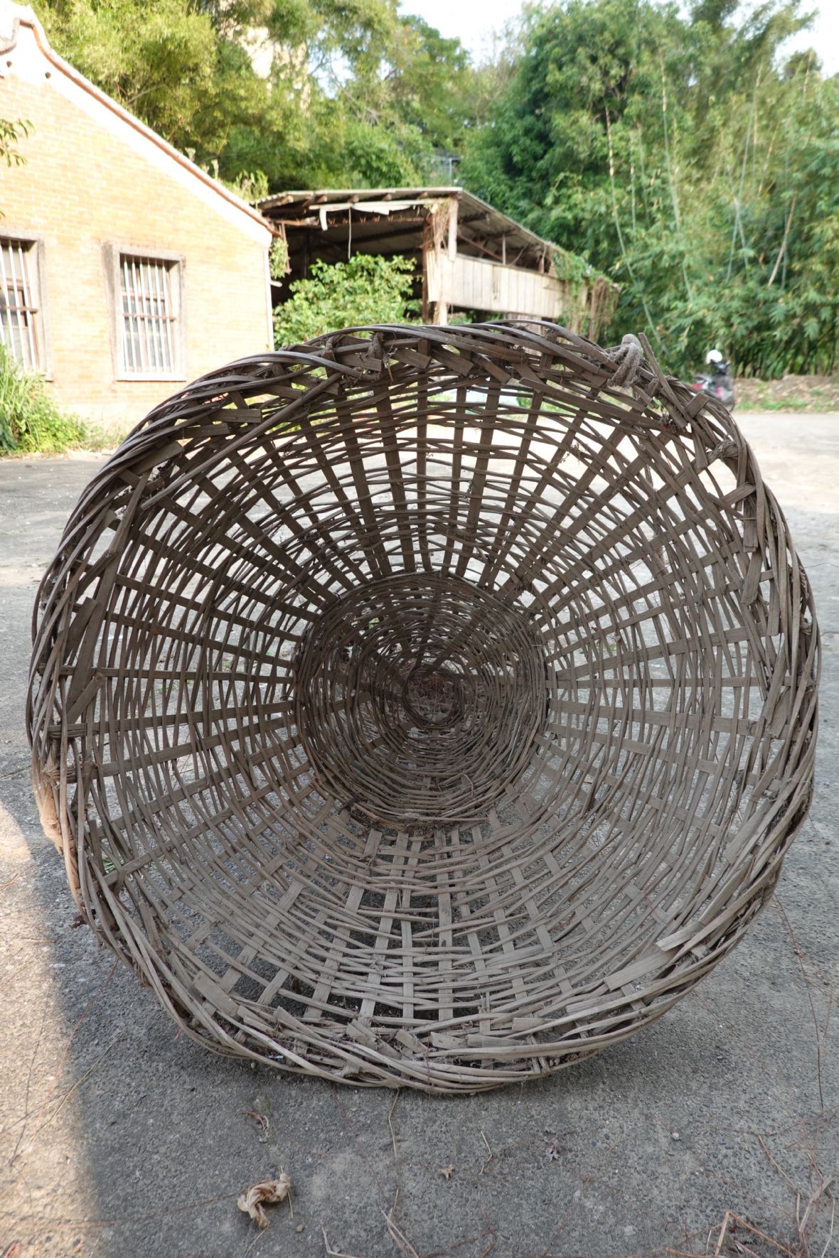 大圓形筌口（林美辰攝，2022）