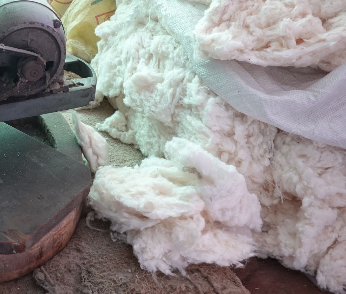 原棉（林美辰攝，2022）