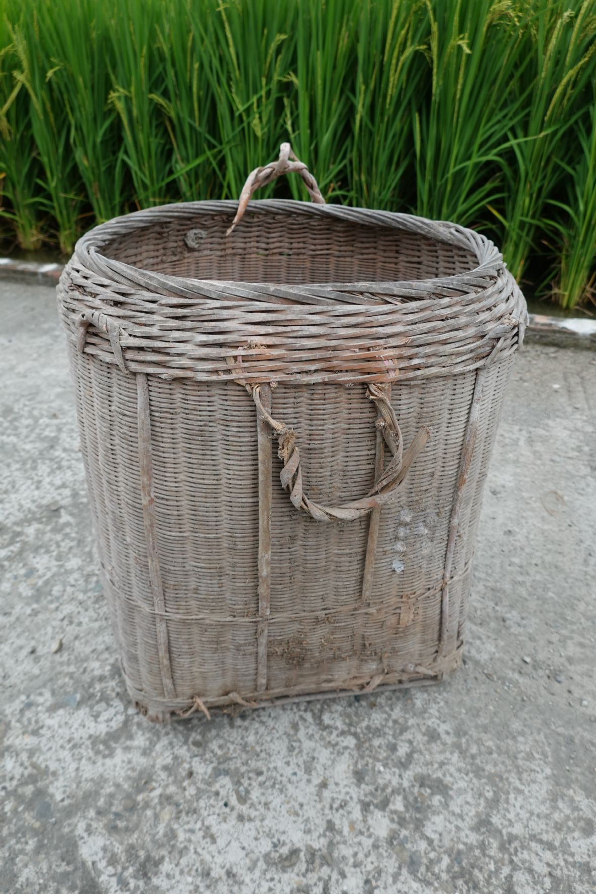 柑橘籃（林洪文提供，林美辰攝，2021）