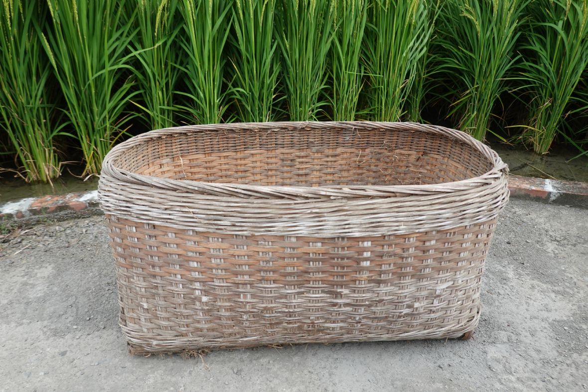 洋菇籃（林洪文提供，林美辰攝，2021）