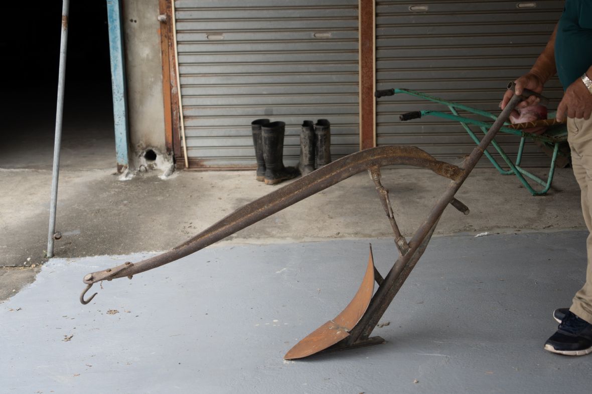 東興里林屋之在來犁（劉星妤攝，2022）