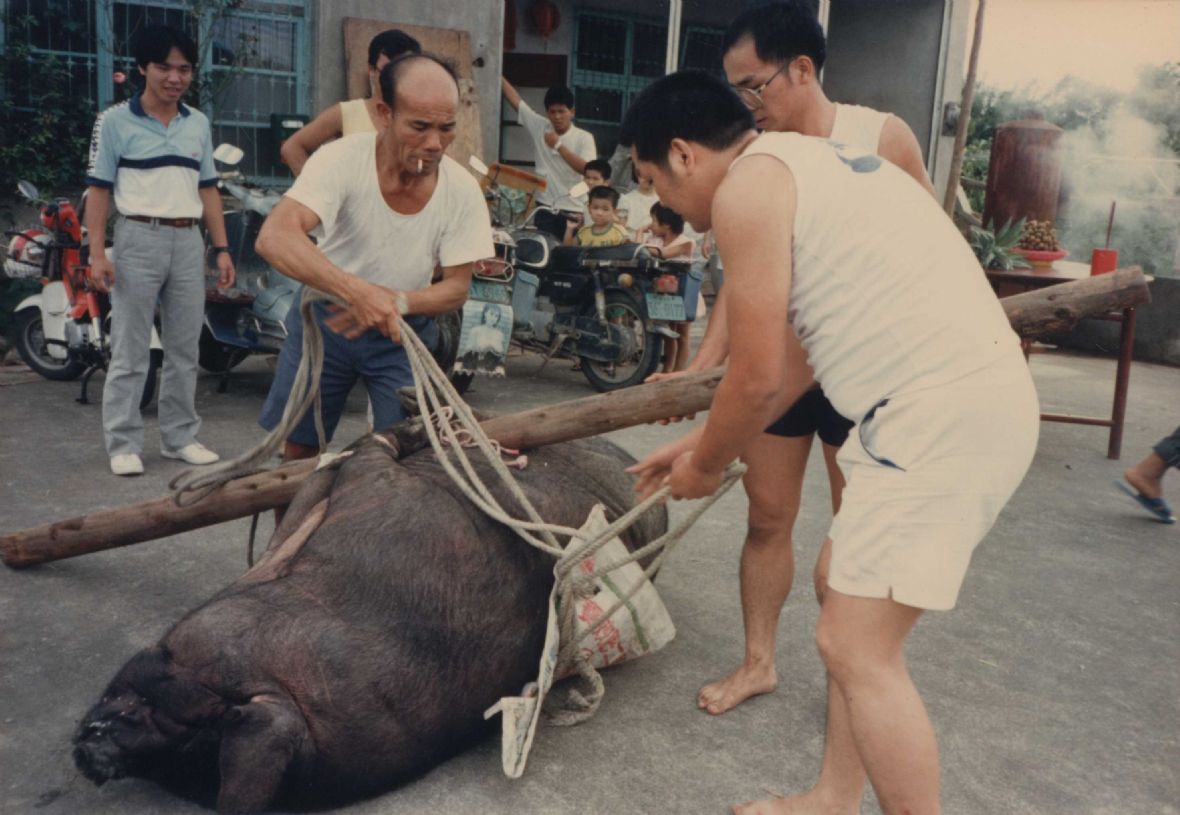 陳財新一家殺神豬（林美辰翻拍，2022）