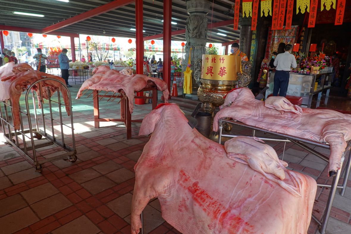 敬奉神豬（林美辰攝，2022）