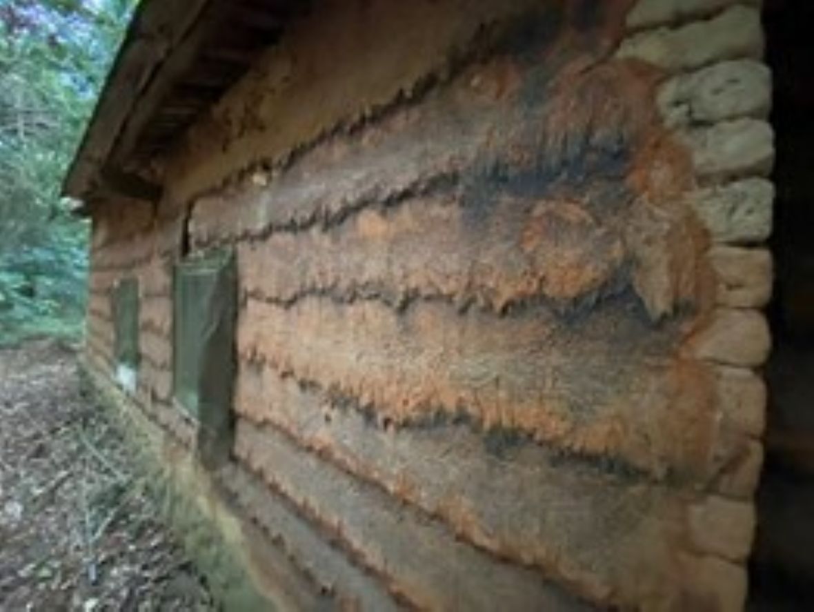 員山村-紅土土漿