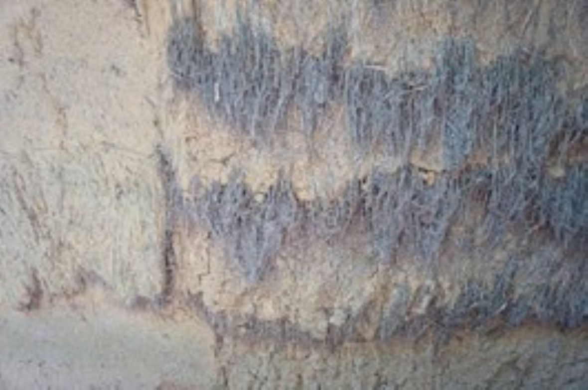 背牆土漿及纖維細部