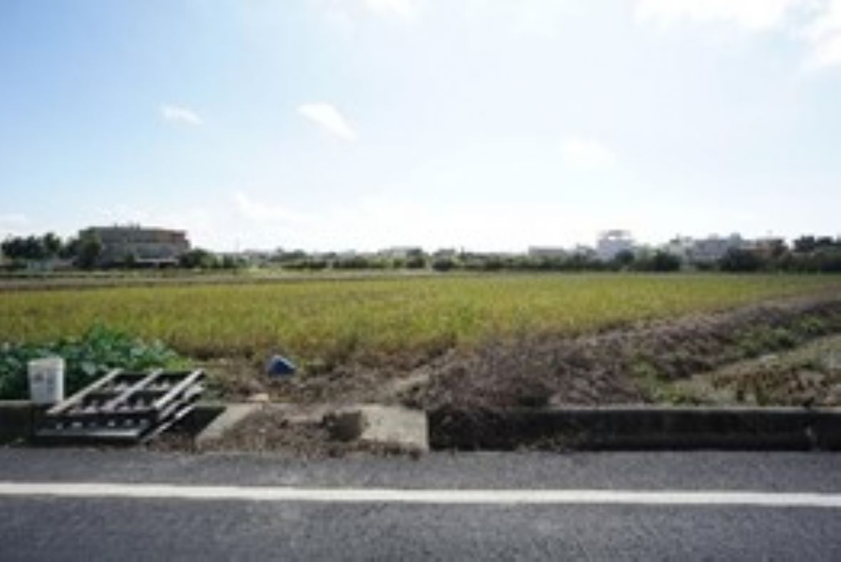 林家樂室外頭為綠油油的稻田