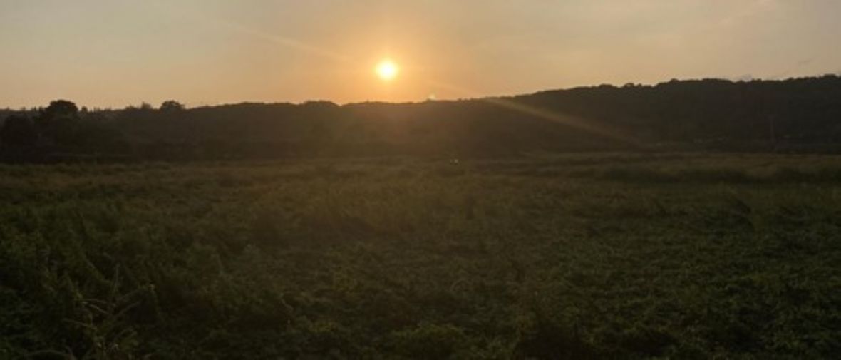 新豐望向鳳山崎