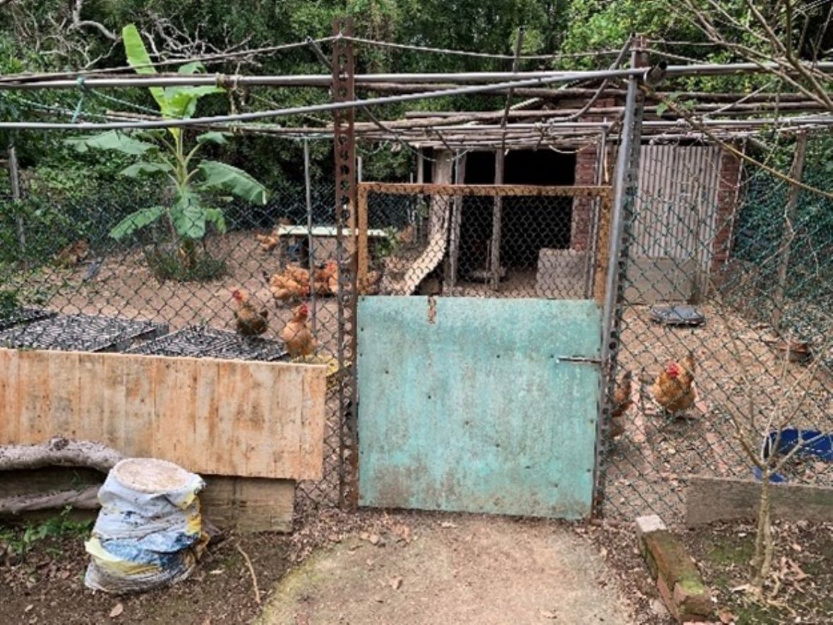 圓山子盧宅後院雞舍