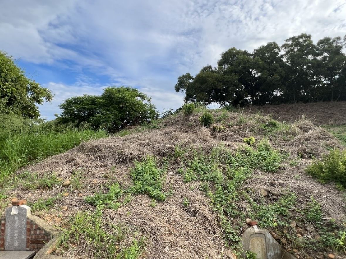  新竹縣新豐鄉青埔子段1991地號的新豐鄉雜草叢生的第二公墓霊園／墓
