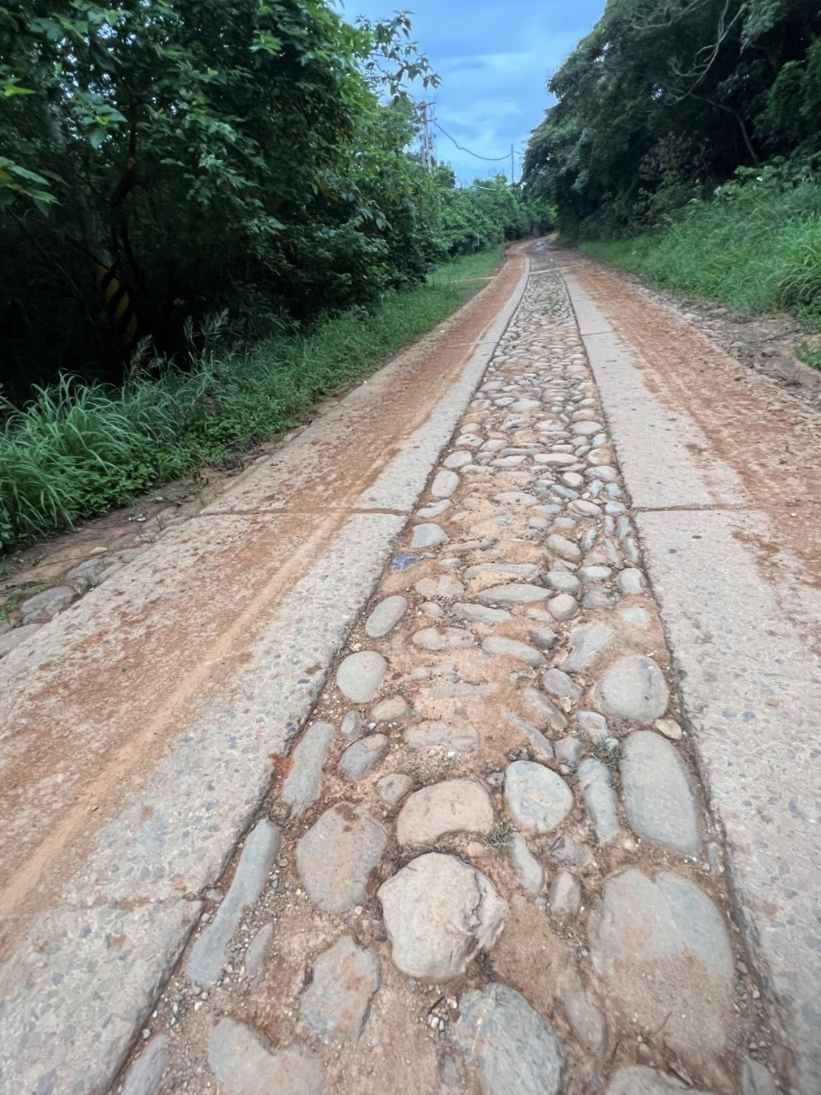 「坑子口靶場戰車道」現況照片
