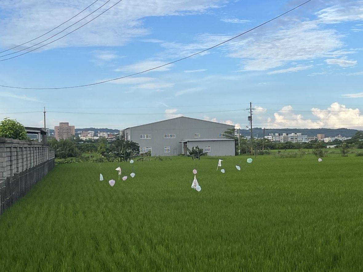 於青埔村3-4鄰發現的「極簡稻草人」