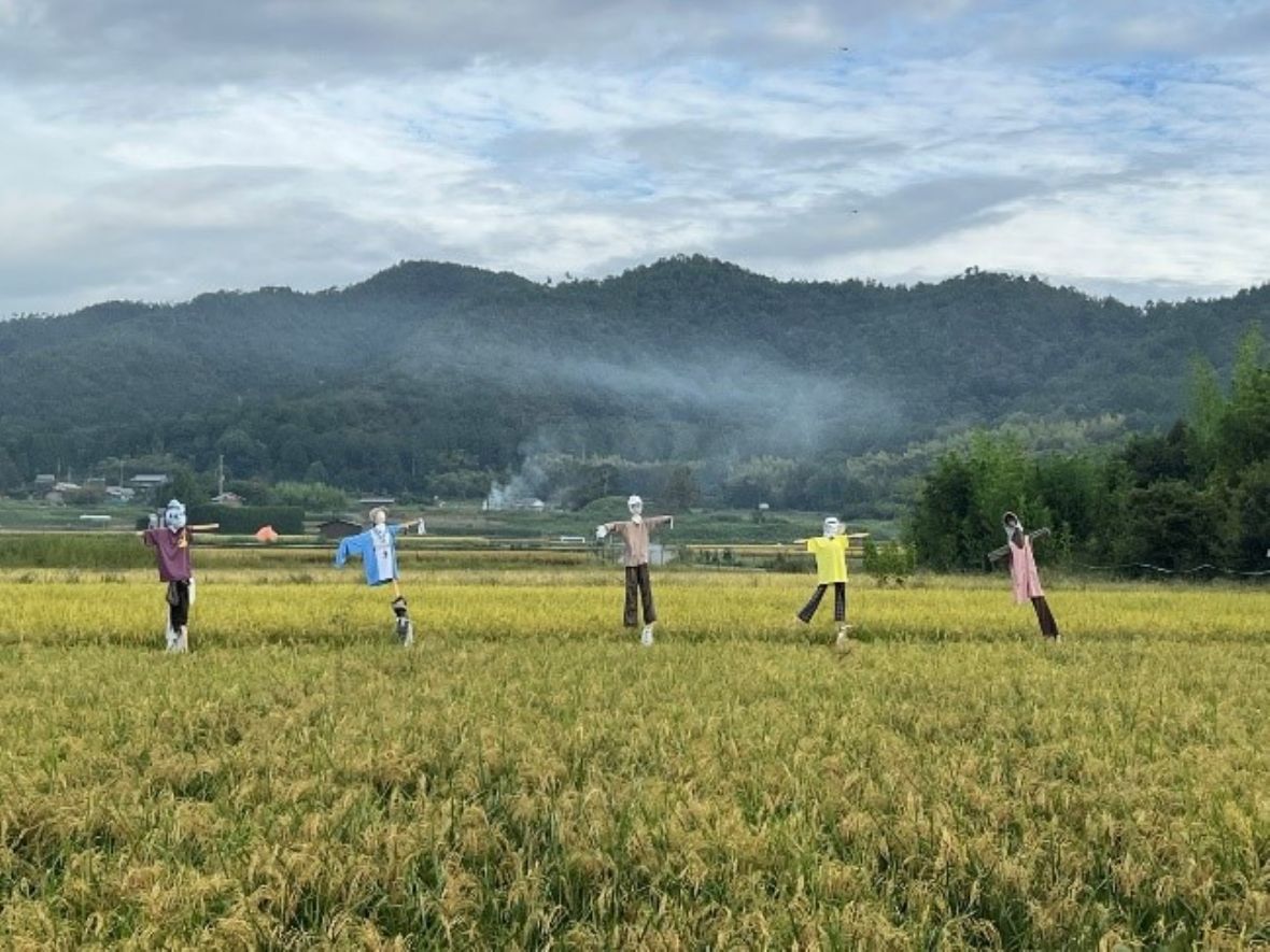 京都嵯峨大沢落久保町的稻草人藝術作品部份