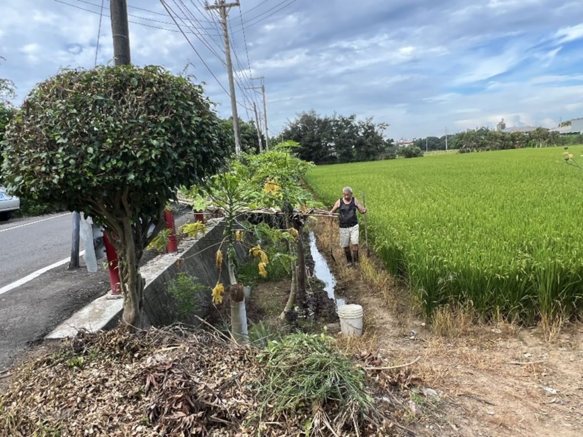圖11 埔和國小「竹1鄉道」旁