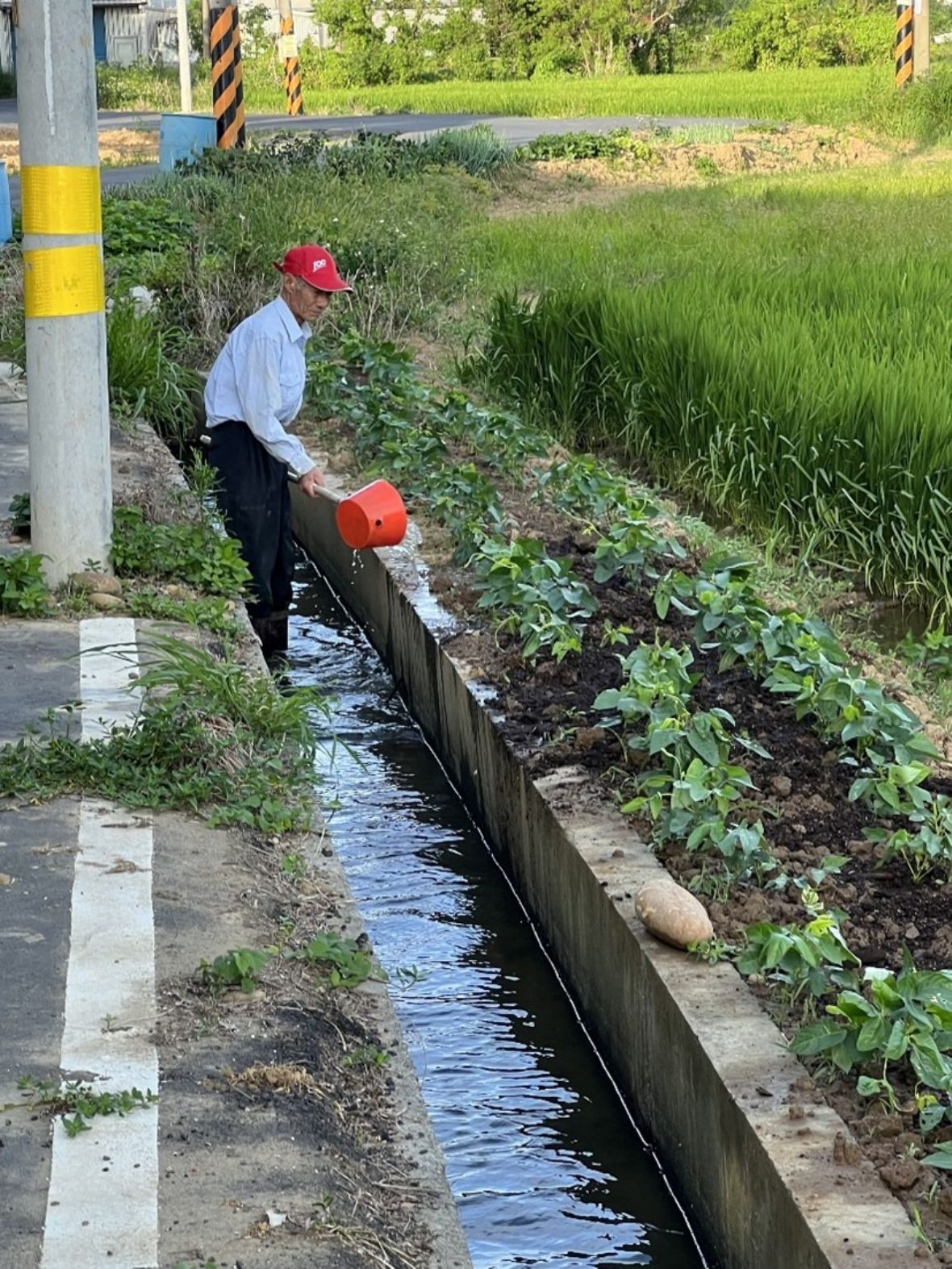 圖13 青埔村青埔子集英祠後側