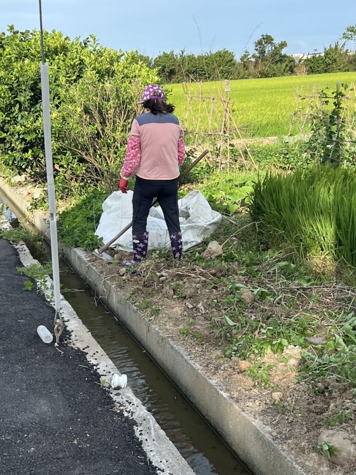 圖14 青埔村青埔子