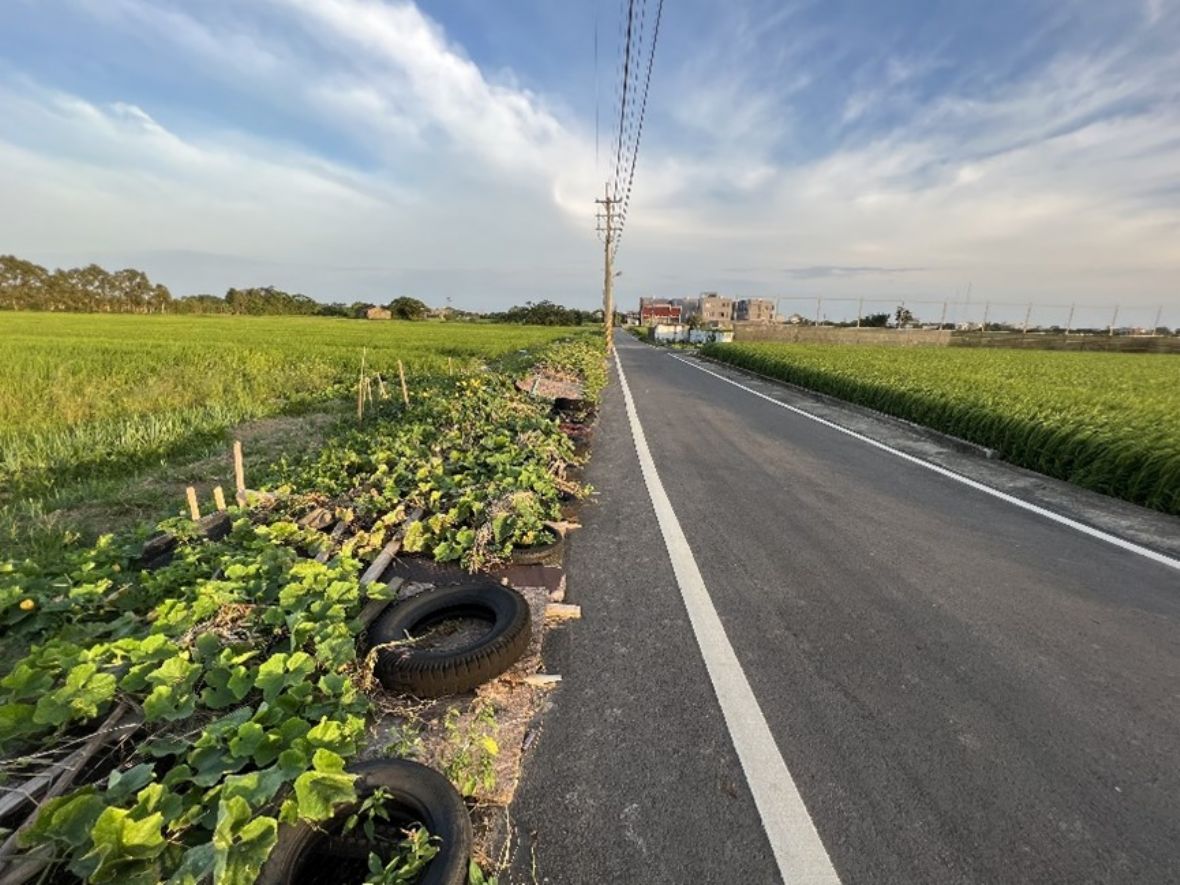圖7 青埔村青埔子