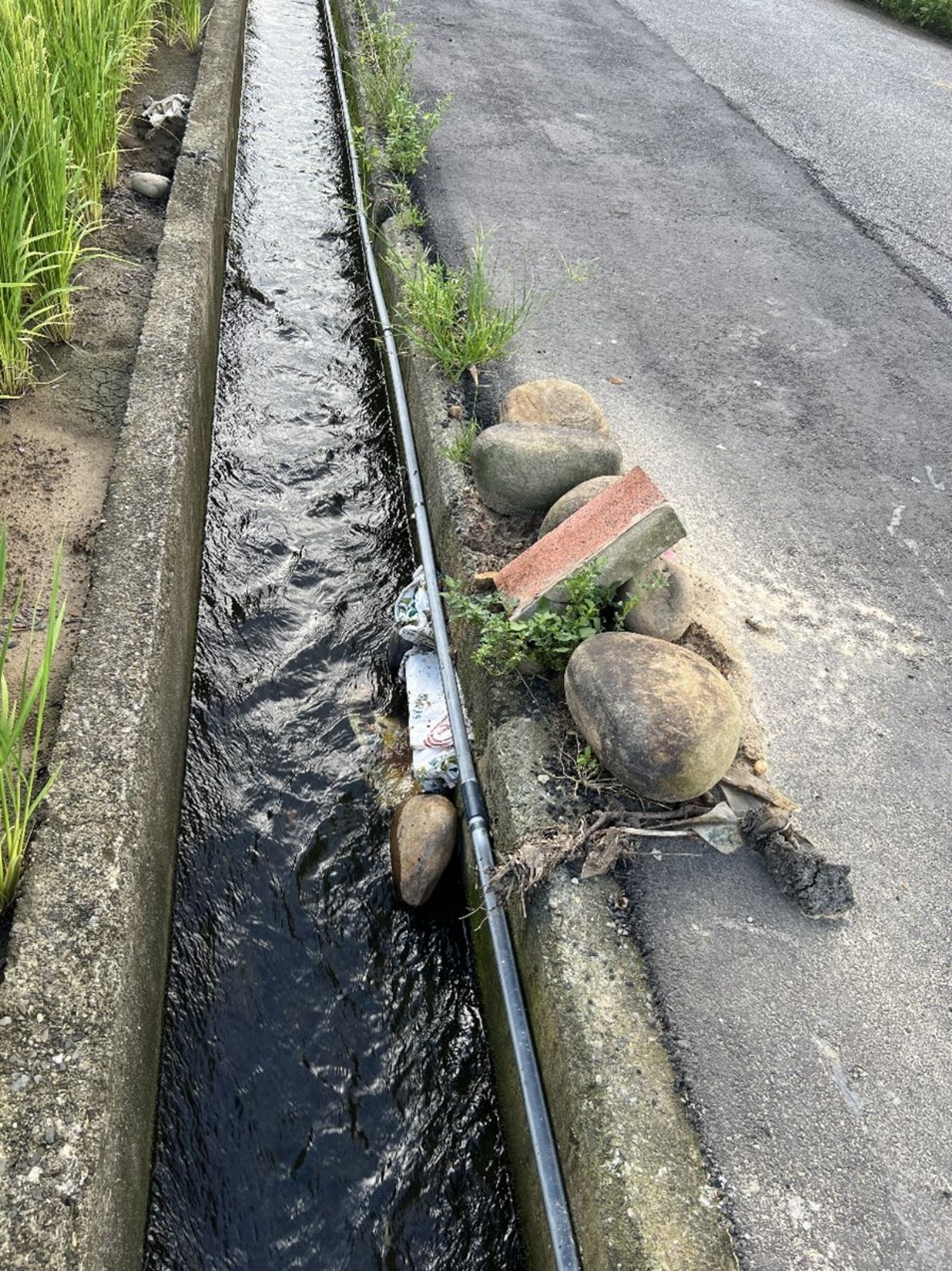 瑞興村10鄰11鄰過道路水道閘門